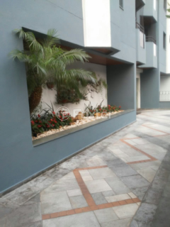 Image 28 - 872502